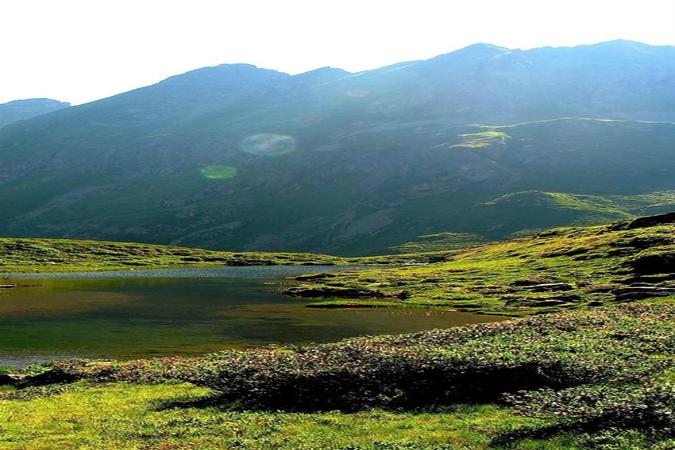 网上有卖的吗药店多少钱？